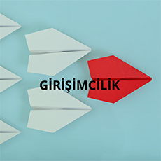 GIRISIMCILIK