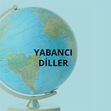 YABANCI_DILLER