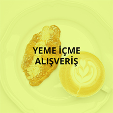 YEME_ICME